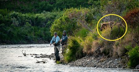 Zdjęcie ważniejsze niż życie. Ten fotograf był nieodpowiedzialny