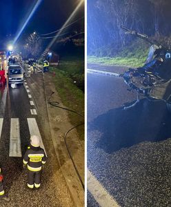 Zginęły cztery młode osoby. Apel służb