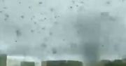 "Tornado komarów" przeleciało przez Rosję. "Niebo zrobiło się czarne"