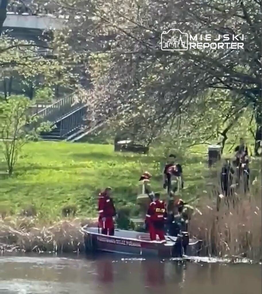 Fot. Czytelniczka Miejskiego Reportera