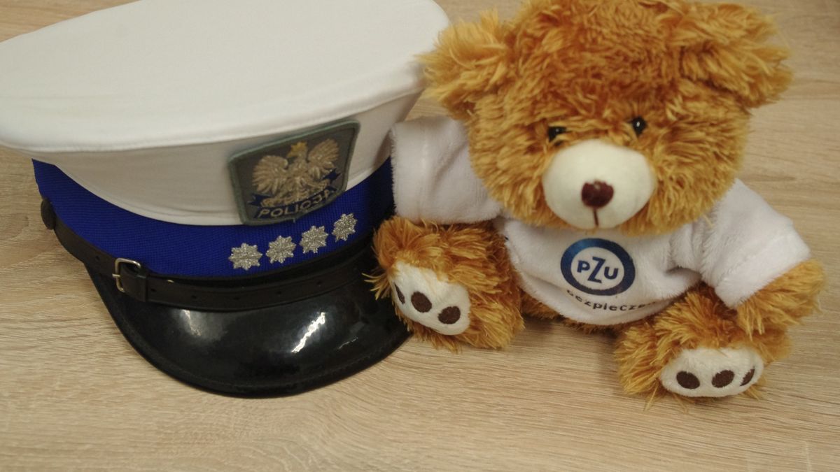 Chłopiec wykazał się odwagą