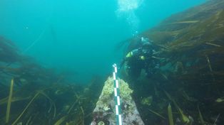 Znaleźli go na dnie Atlantyku. Nie znalazł się tam przypadkowo