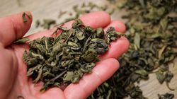 Badali zdrowie kości przez 10 lat. Ten napój jest dla nich najlepszy