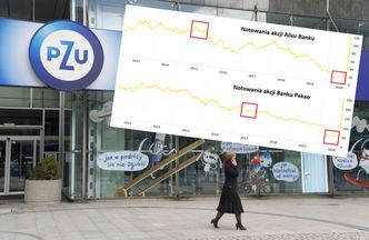 PZU wtopił na inwestycji w banki. Odrabianie strat może zająć wiele lat