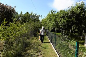 Ceny działek ROD wystrzeliły. Działkowcy sprzedają nieruchomości