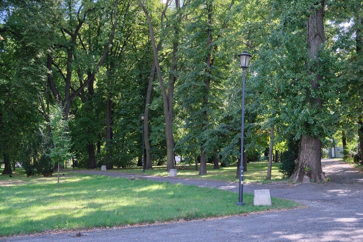 Park Bronowice w Lublinie. Alejka w cieniu drzew