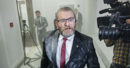 Ktoś inspirował Brauna? Zwróciła uwagę na korelację czasową