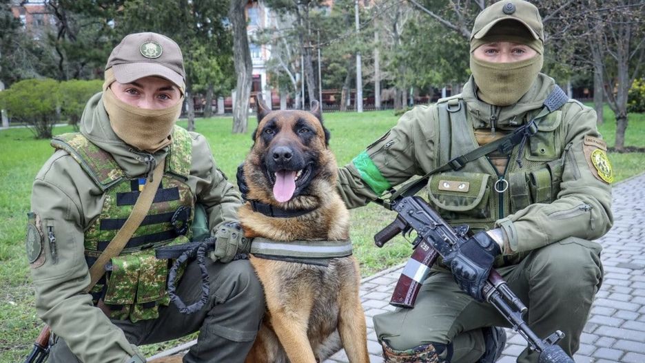 Max to owczarek belgijski, który w wyniku jakiegoś zdarzenia podczas walk w obwodzie mikołajewskim odłączył od rosyjskich wojsk. Teraz wstąpił w ukraińskie szeregi 