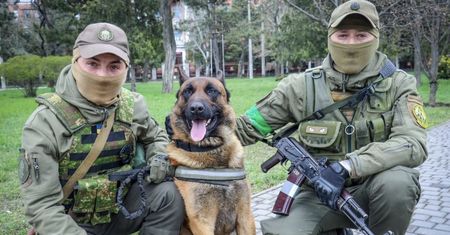 Zmienił barwy na ukraińskie. "Teraz pogryzie rosyjskie tyłki"