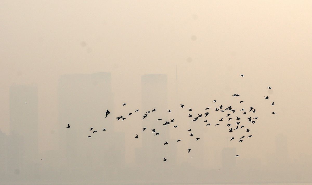 Wrocław. Smog atakuje. Zła jakość powietrza w mieście