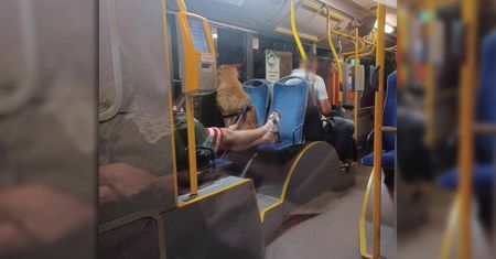 Z nogami i psem na siedzeniu w autobusie, a muzyki puszczanej przez mężczyznę słuchali wszyscy pasażerowie