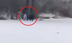 "Młotek poszedł w ruch". Chłopcy byli na stawie. Zaczęła nagrywać