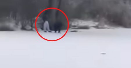"Młotek poszedł w ruch". Chłopcy byli na stawie. Zaczęła nagrywać
