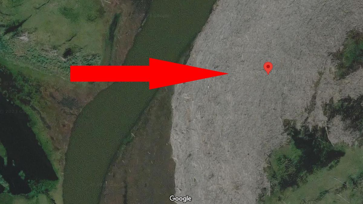 Złoże drzewne w delcie rzeki Mackenzie 