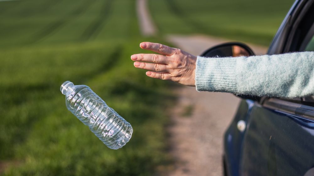 I ciach, na Amazon, fot. Shutterstock.com