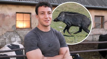 Adam Josef klepnął dzika w tyłek. Nie miał innego wyjścia