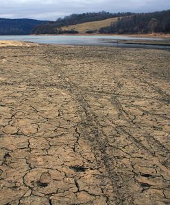 Niżówka hydrologiczna w Polsce. Ekspert bije na alarm