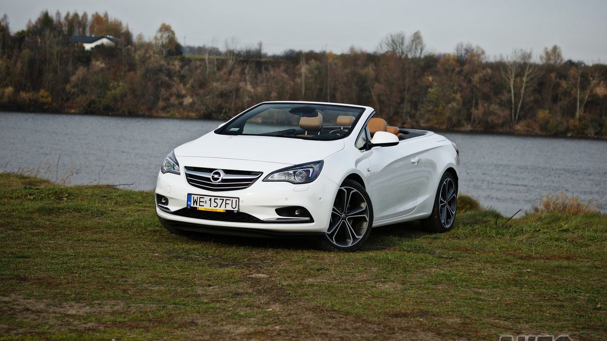 Zdjęcie ilustracyjne do artykułu