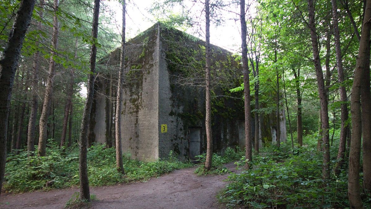 Sensacyjne odkrycie w Mamerkach