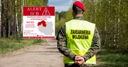 Alert RCB dla trzech województw. "Trwają poszukiwania obiektu"
