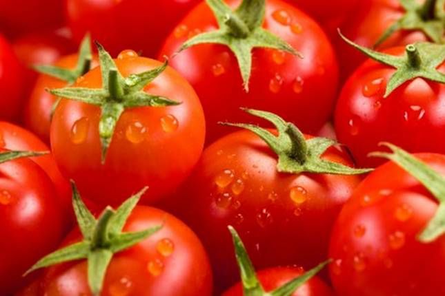 10 najważniejszych odkryć i wydarzeń naukowych lat 90. GMO, klonowanie i terapia HIV 4
