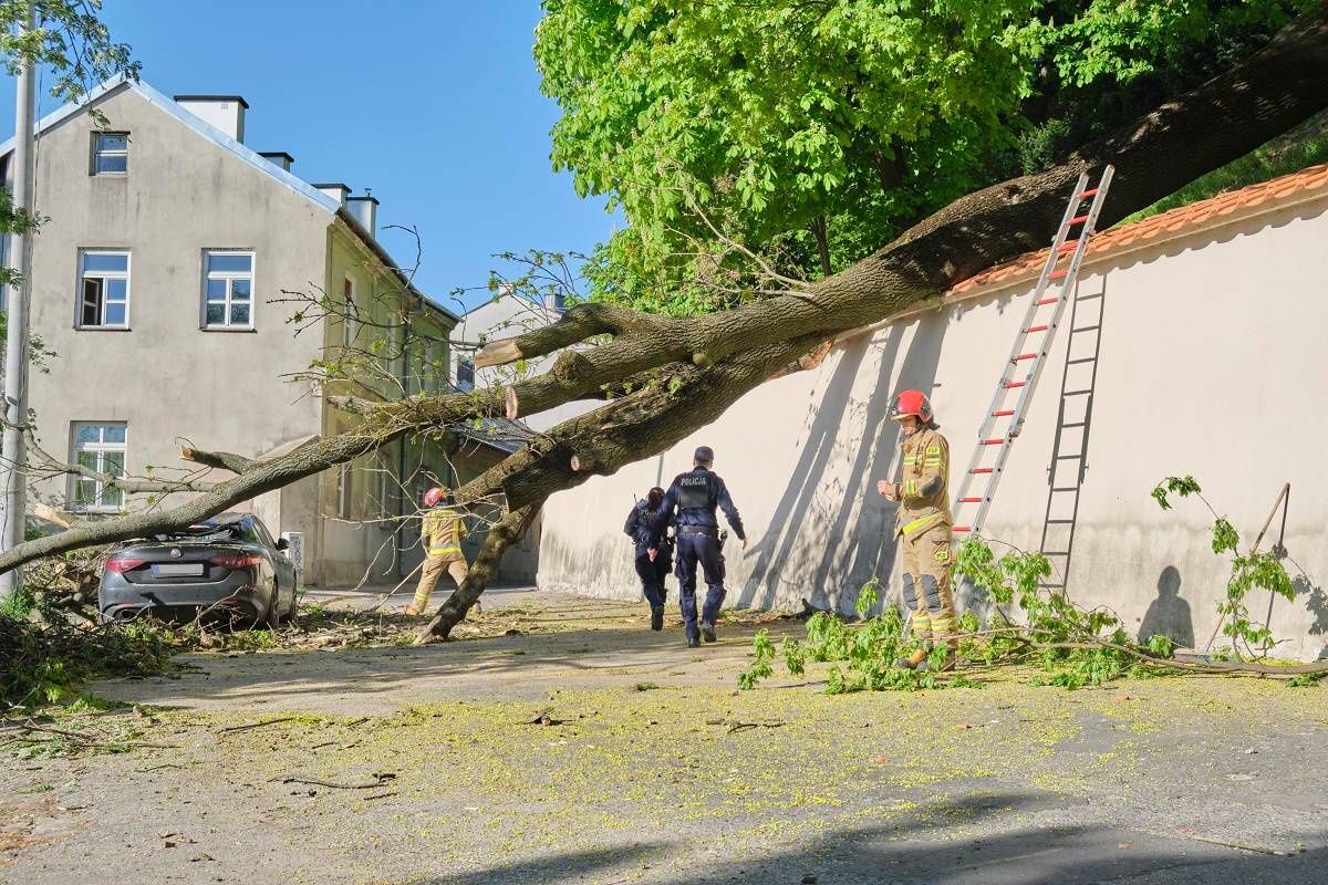 Powalone drzewo spadło na samochód na ul. Misjonarskiej