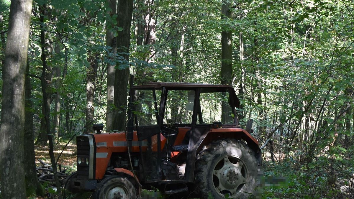 Podczas wycinki na mężczyznę spadła gałąź. Jego życia nie udało się uratować 