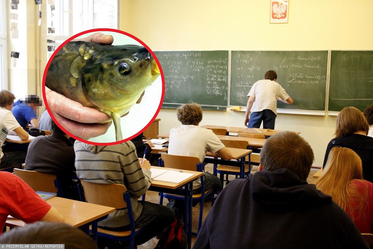 Studentka nagrała makabryczne sceny. Jest reakcja uczelni