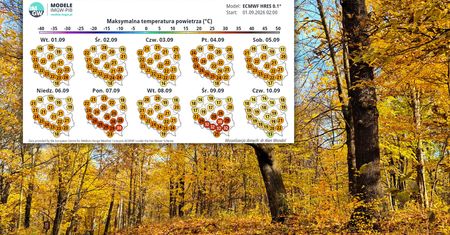 Wrzesień przyniesie pogodowy zwrot. Są najnowsze prognozy