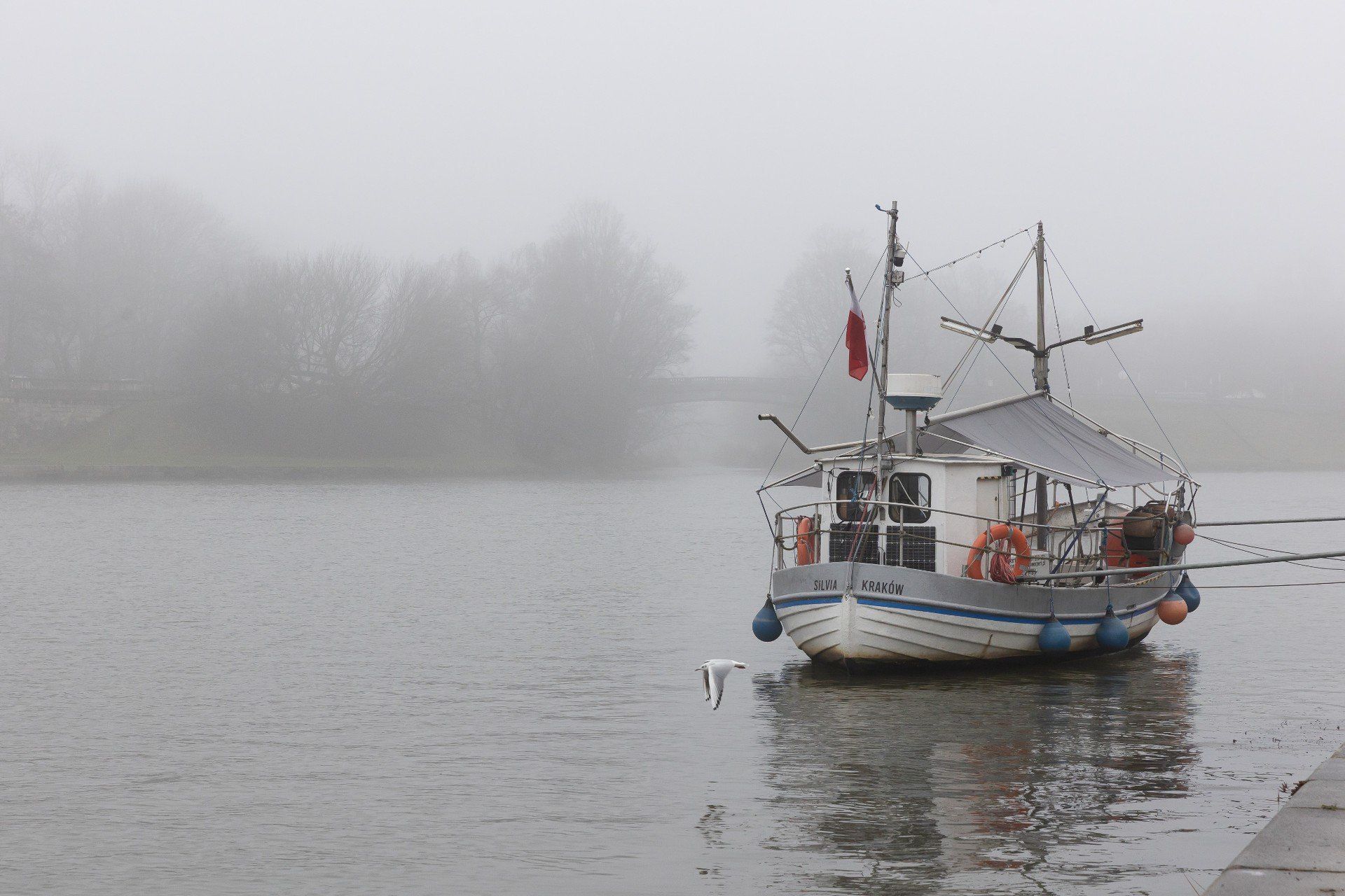 Kraków tonie we mgle. Służby ostrzegają