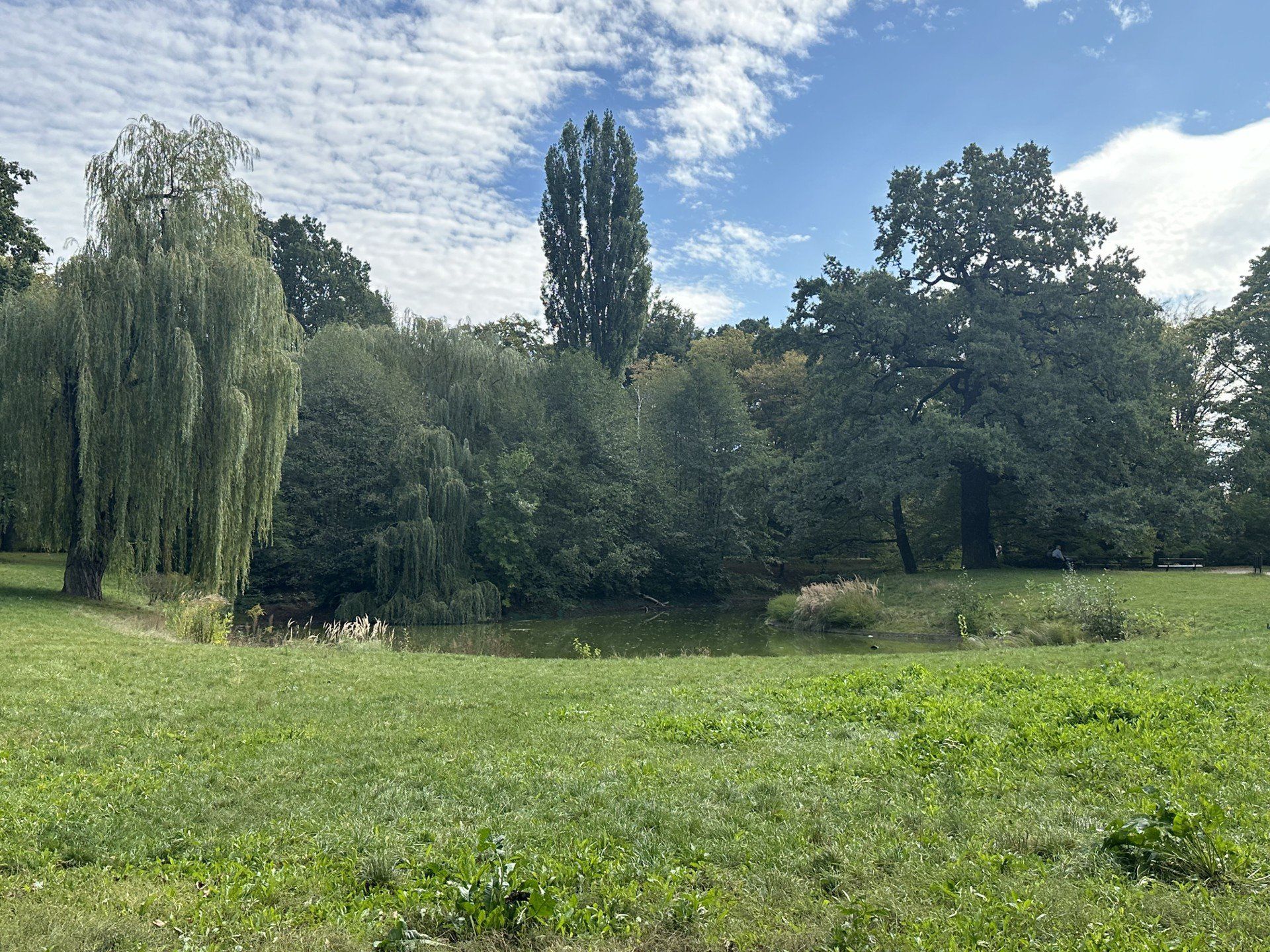 Park Źródliska Łódź