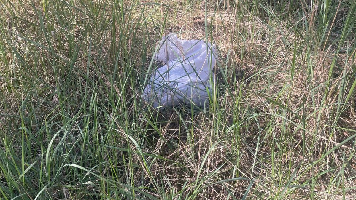 Kobieta znalazła kotka w worku.