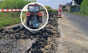 Nie mieszkał zupełnie sam. Sąsiedzi rolnika z Gliwic ruszyli z pomocą