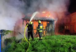 Podpalaczka aresztowana. W wywołanym przez nią pożarze spłonął pies