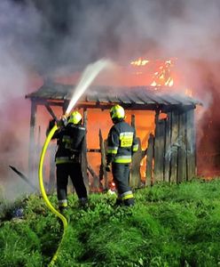 Podpalaczka aresztowana. W wywołanym przez nią pożarze spłonął pies