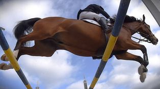 Zielona Góra: To było wspaniałe widowisko. Z kapitalnymi skokami i powożeniem zaprzęgami