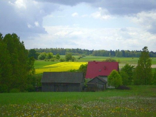 Obraz