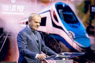 Niemcy piszą o Tusku. "Obietnica, która ma pomóc wygrać wybory"