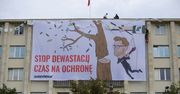 Michał Woś vs Greenpeace. Sprawdzamy, kto ma rację w sprawie terenów leśnych w Polsce