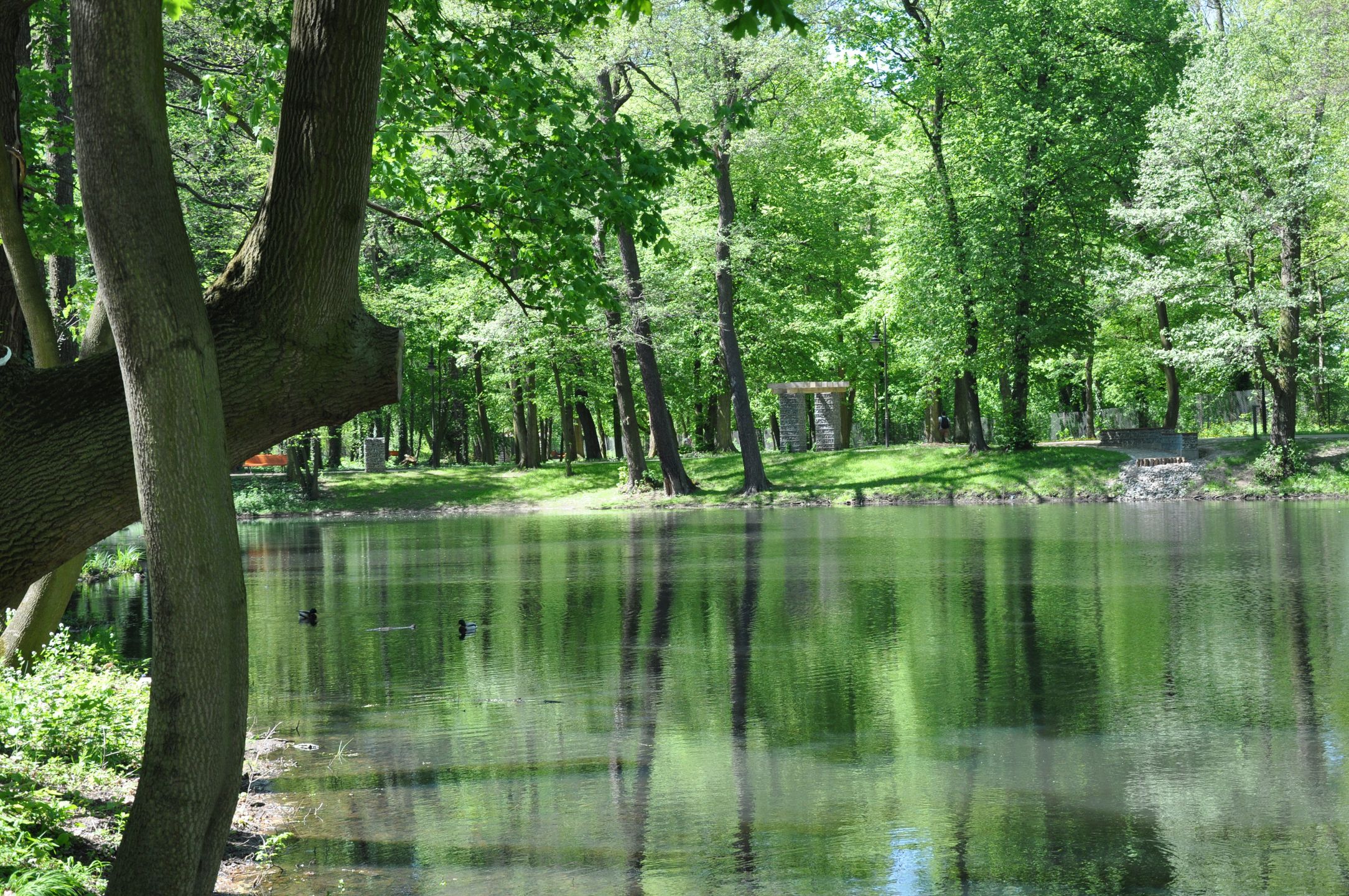 materiał partnera