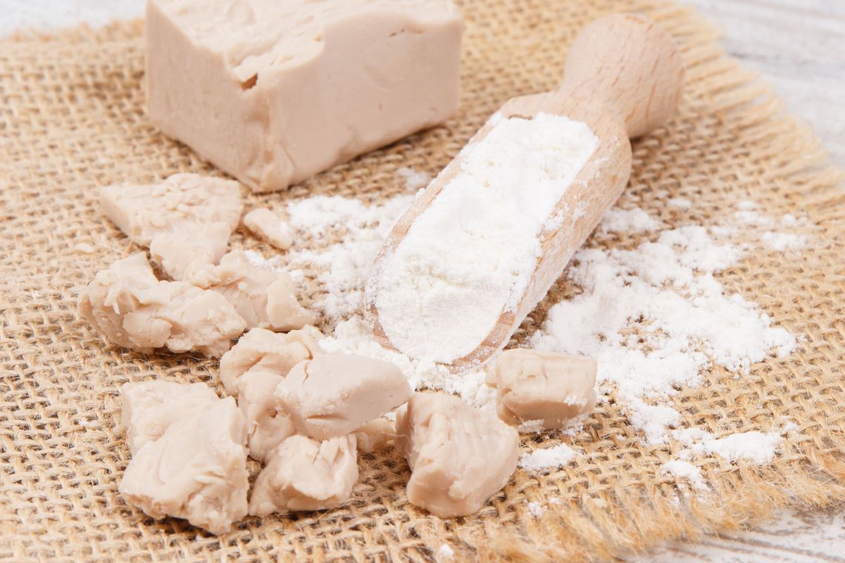 Czy drożdże można mrozić? Zaskakujący fakt o drożdżach WP Kuchnia