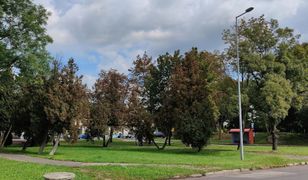 Dąbrowa Górnicza. Będzie tężnia solankowa, tak zdecydowali mieszkańcy