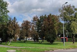 Dąbrowa Górnicza. Będzie tężnia solankowa, tak zdecydowali mieszkańcy