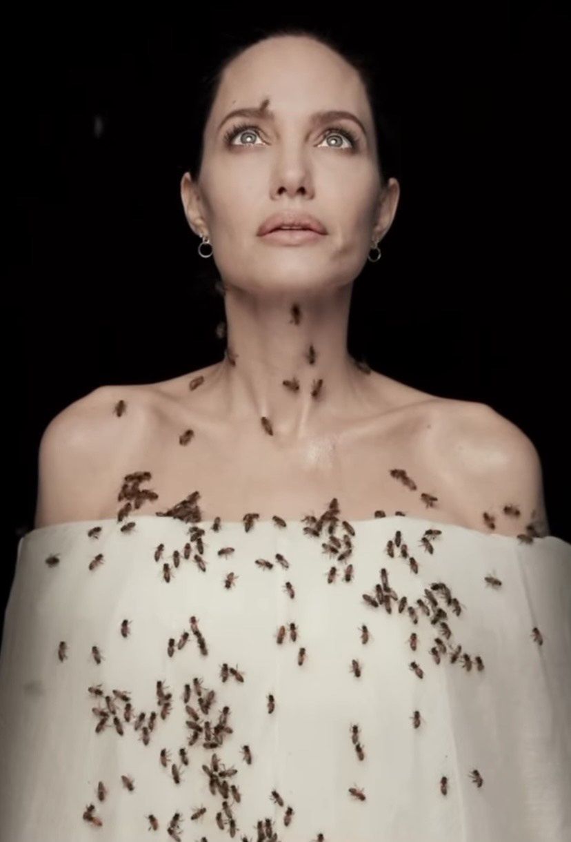 Angelina Jolie pozuje z pszczołami