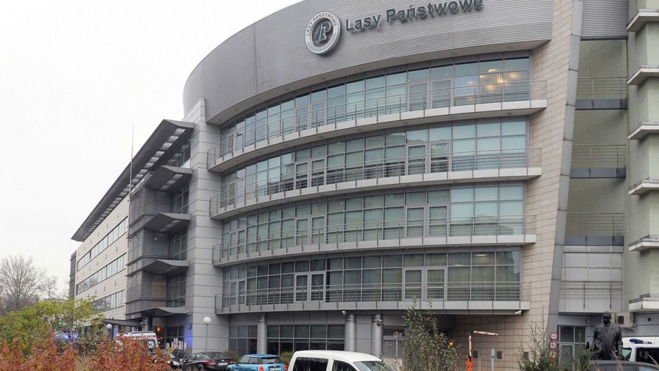 Lasy Państwowe