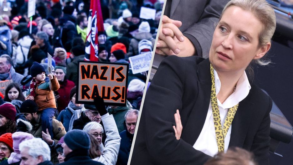Protesty w Niemczech przeciw AfD / Alice Weidel