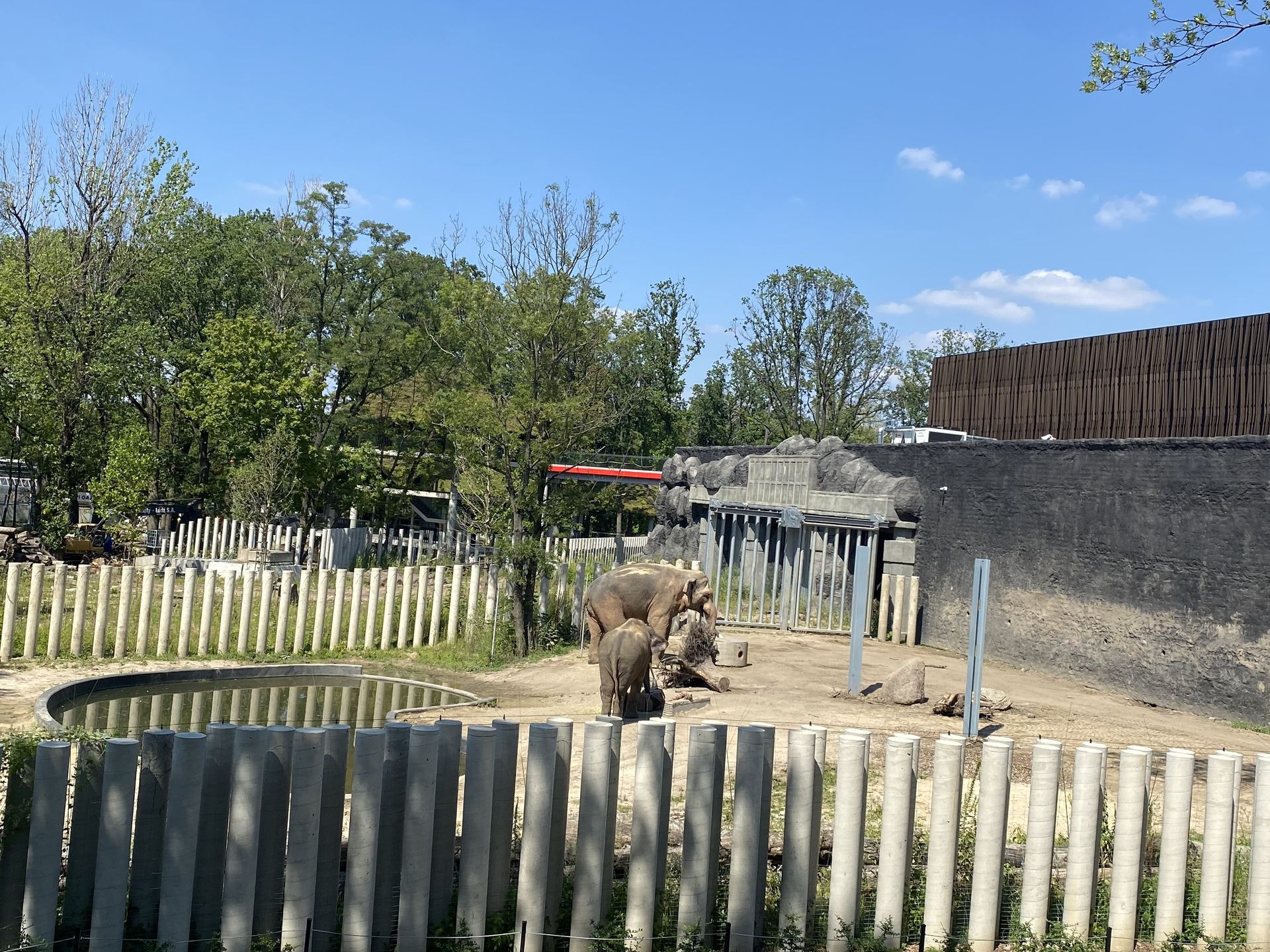 Alexander i Taru na wybiegu zewnętrznym 