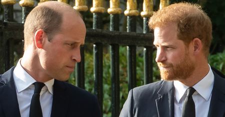 William chce porozmawiać z Harrym. Meghan ma trzymać się z daleka