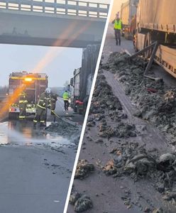 A4 była częściowo nieprzejezdna. Doszło do zderzenia ciężarówek