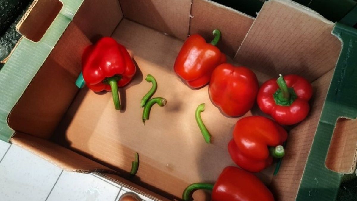 Taki widok można zastać w Biedronce. 